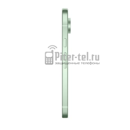 Смартфон Google Pixel 9 12/128Gb Global Wintergreen